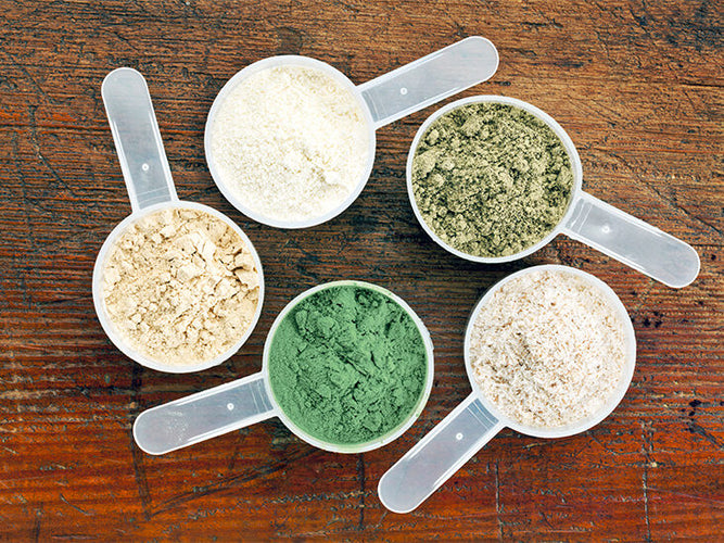 What are the different types of protein?