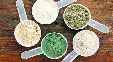 What are the different types of protein?